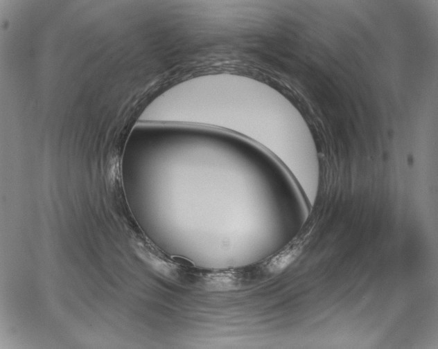 X0000068320574200604211015