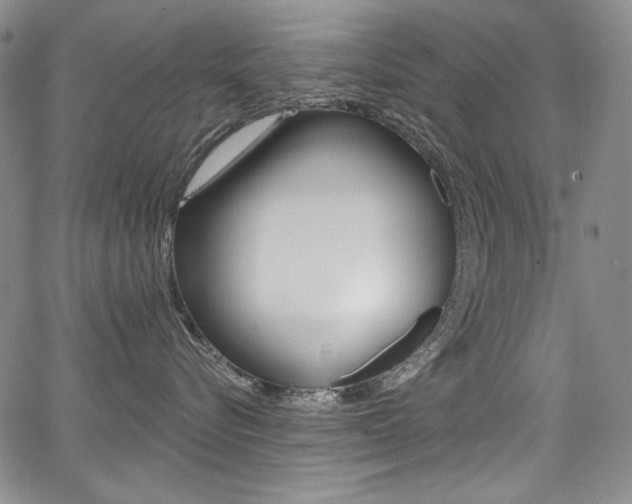 X0000068320576200604211015