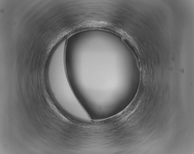 X0000068320581200604211014