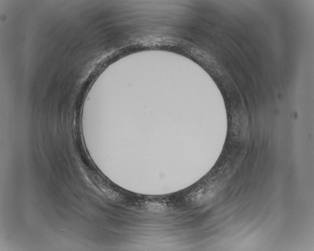 X0000068320592200604211014