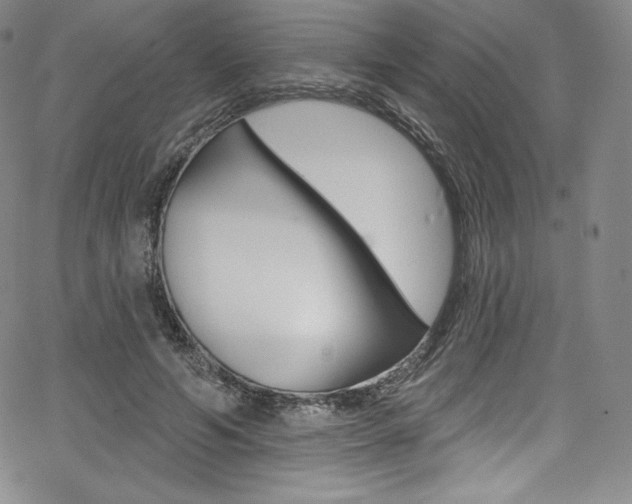 X0000068320594200604211014
