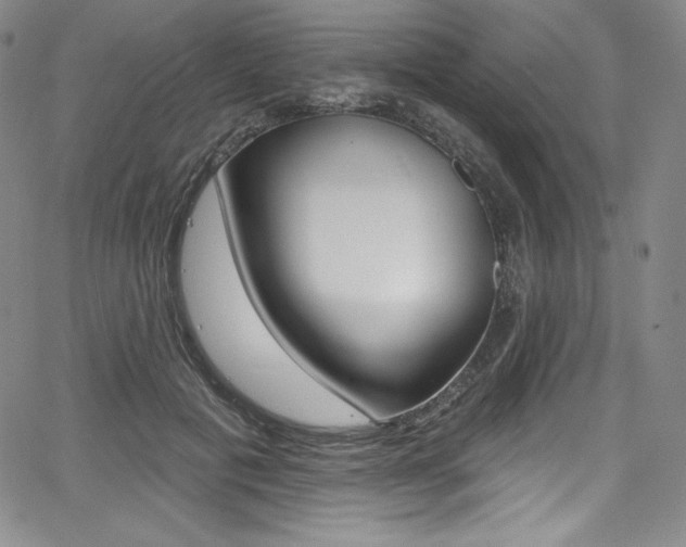 X0000068320601200604211014