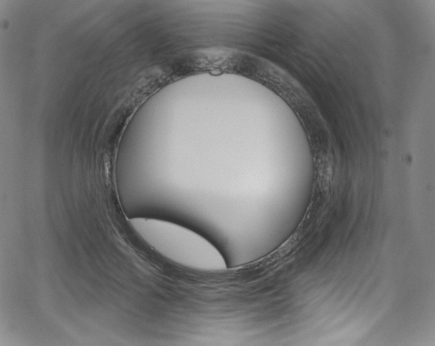 X0000068320602200604211014
