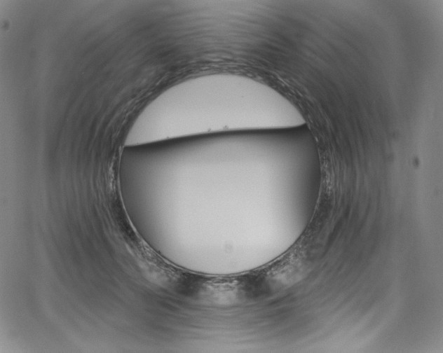 X0000068320606200604211013