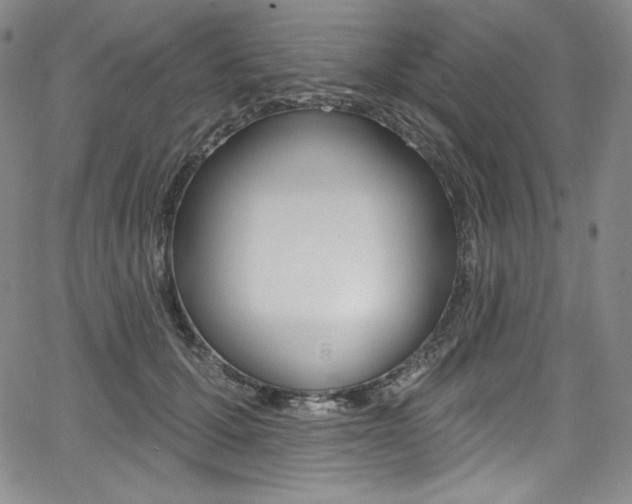 X0000068320607200604211013