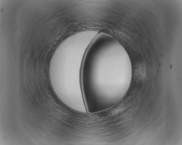 X0000068320608200604211013