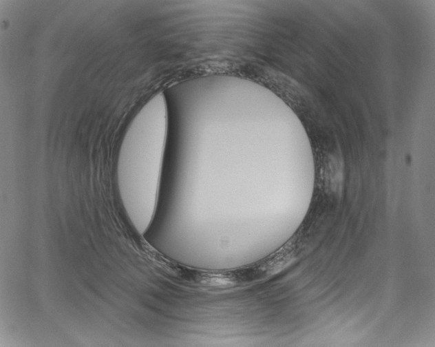 X0000068320610200604211013