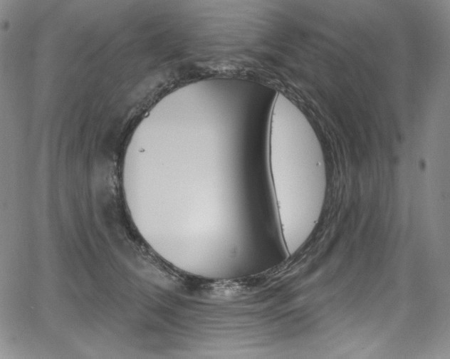 X0000068320612200604211013