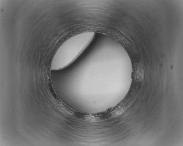 X0000068320616200604211013