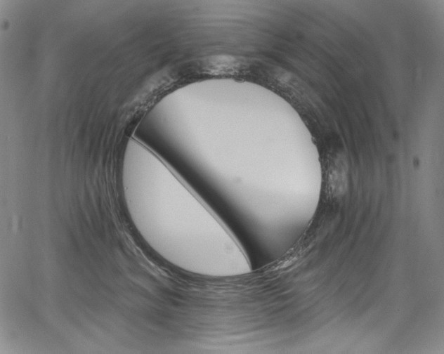 X0000068320620200604211013