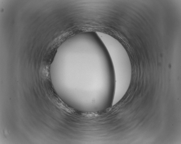 X0000068320621200604211013