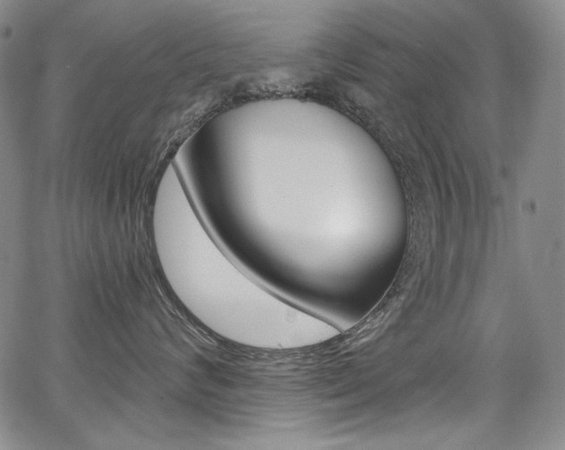 X0000068320624200604211013