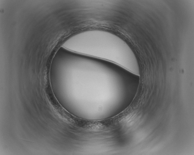 X0000068320642200604211013