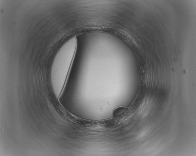 X0000068320643200604211013