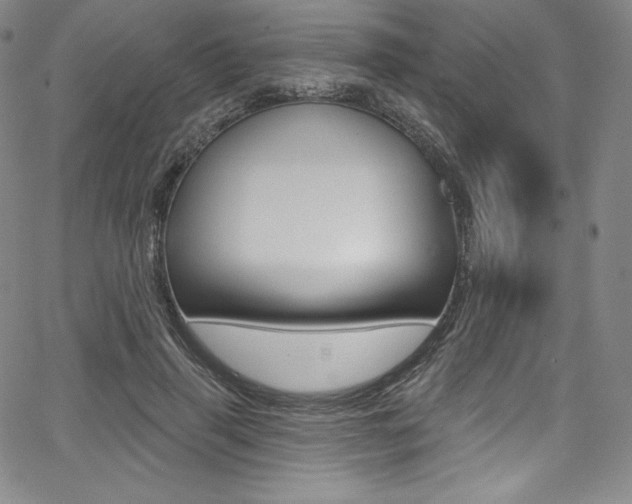X0000068320645200604211013