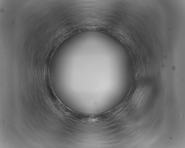 X0000068320647200604211013