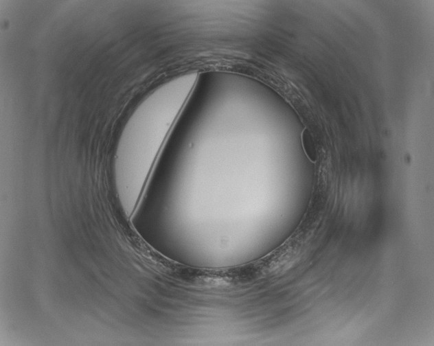 X0000068320649200604211013