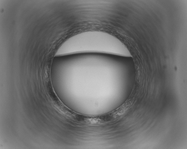X0000068320654200604211013