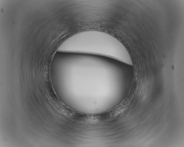 X0000068320656200604211013