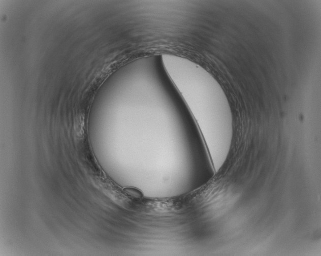 X0000068320660200604211013