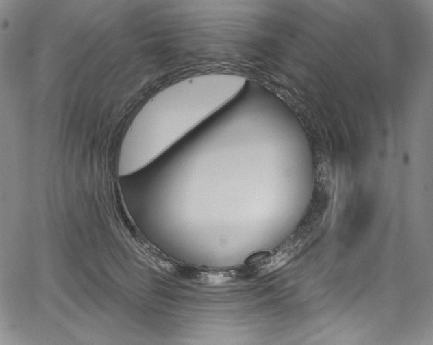 X0000068320662200604211013