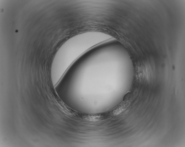 X0000068320664200604211013
