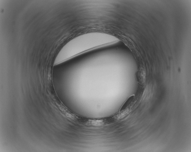 X0000068320665200604211013
