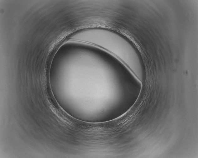 X0000068320677200604211012