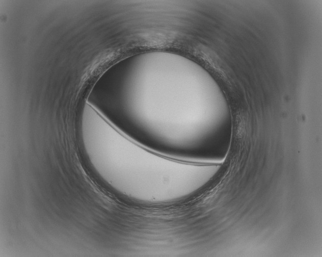 X0000068320685200604211012