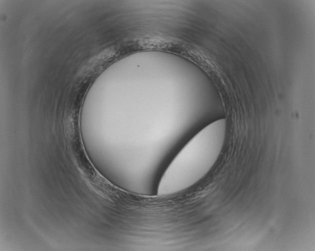 X0000068320690200604211012