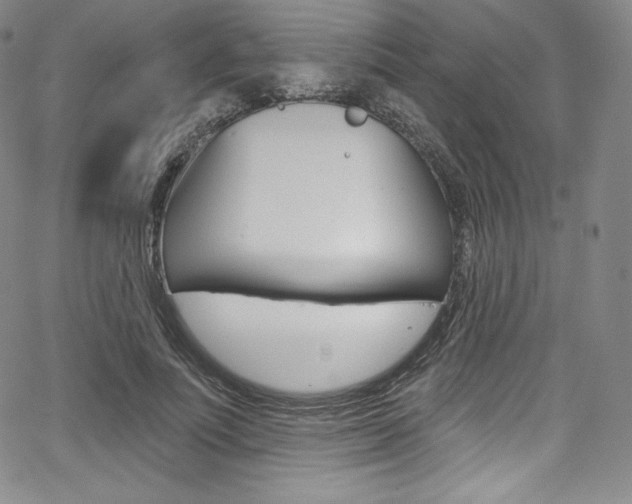 X0000068320691200604211012