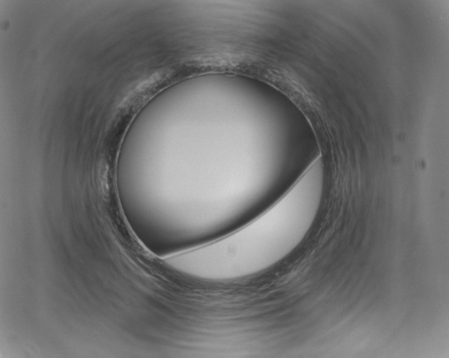 X0000068320692200604211012