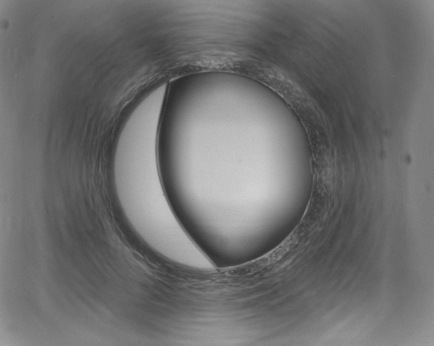 X0000068320696200604211012