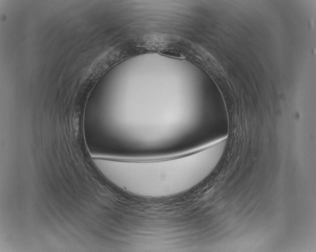 X0000068320697200604211012