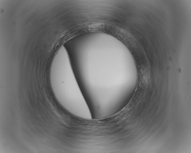 X0000068320698200604211012