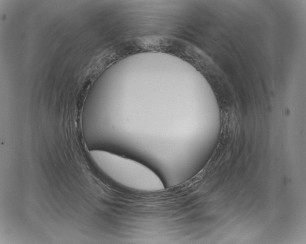 X0000068320702200604211012
