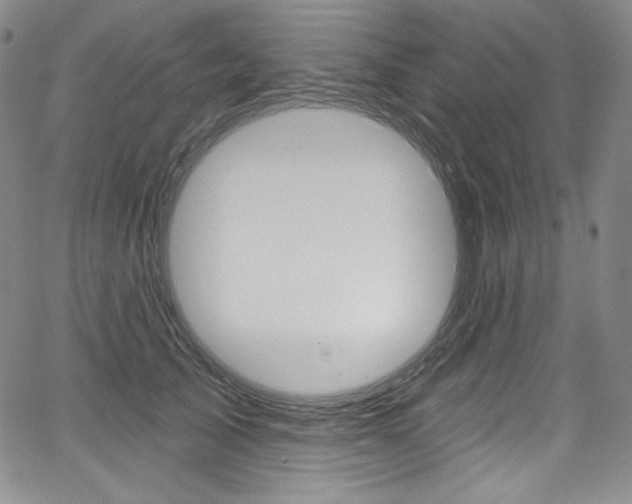 X0000068320705200604211012