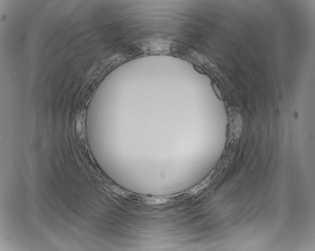 X0000068320709200604211012