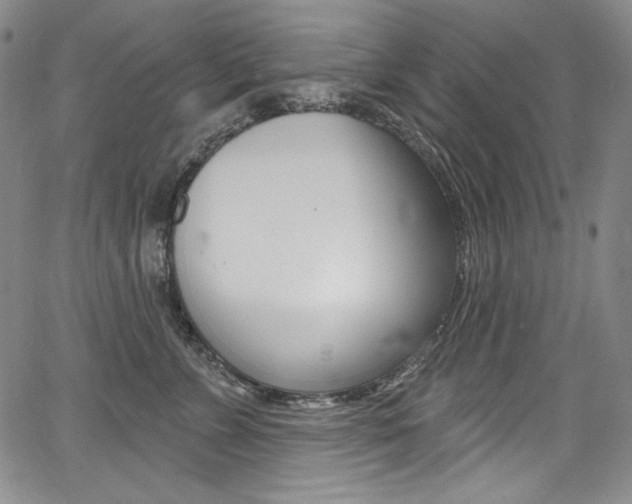 X0000068320715200604211012