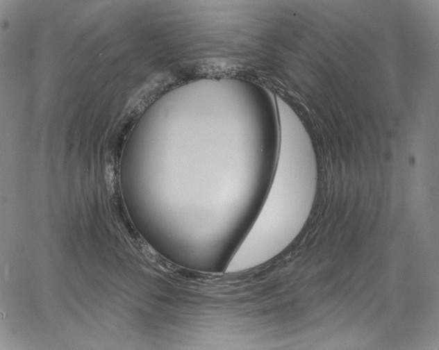 X0000068320716200604211012