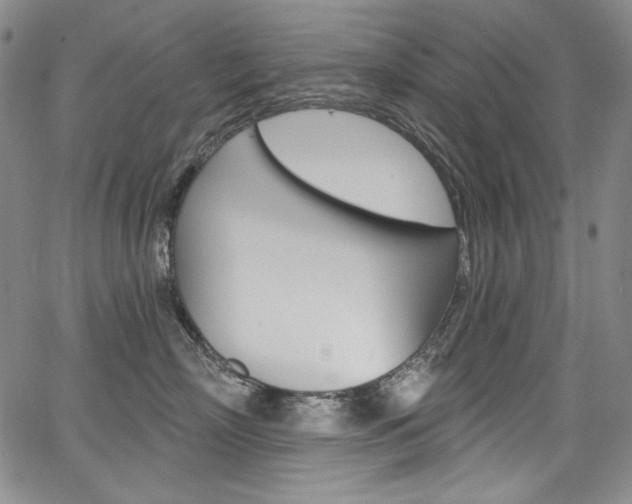 X0000068320718200604211012