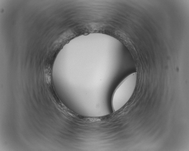 X0000068320719200604211011