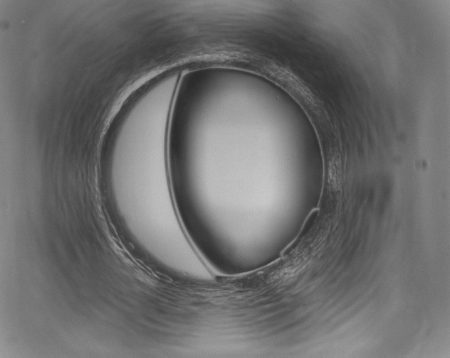 X0000068320724200604211011