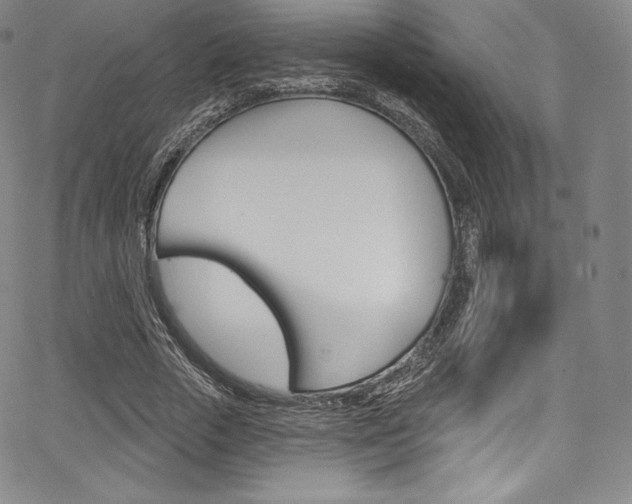 X0000068320729200604211011