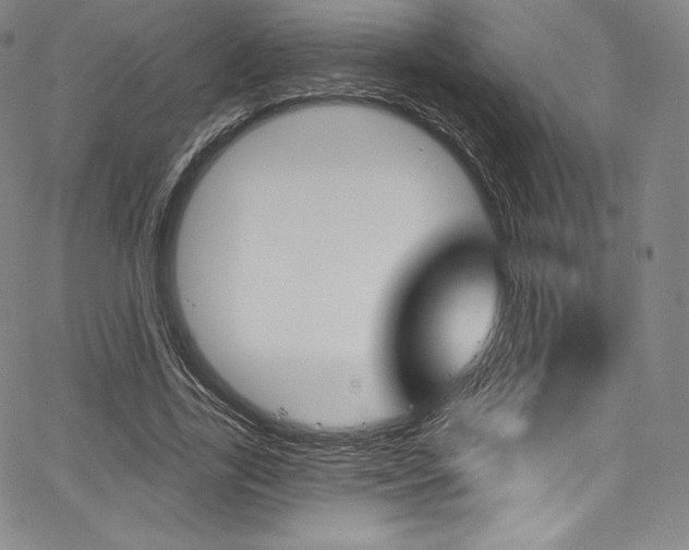 X0000068320731200604211011