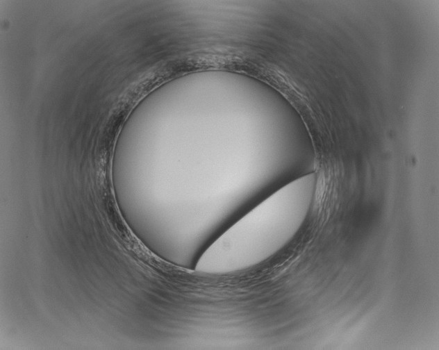 X0000068320737200604211011