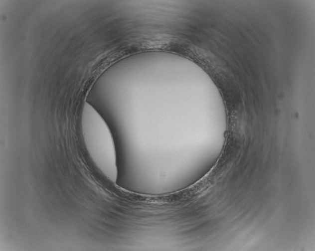 X0000068320741200604211011