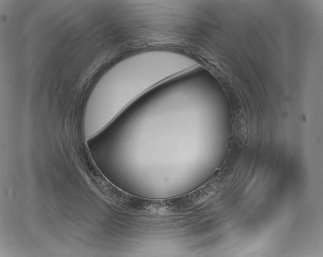 X0000068320742200604211011