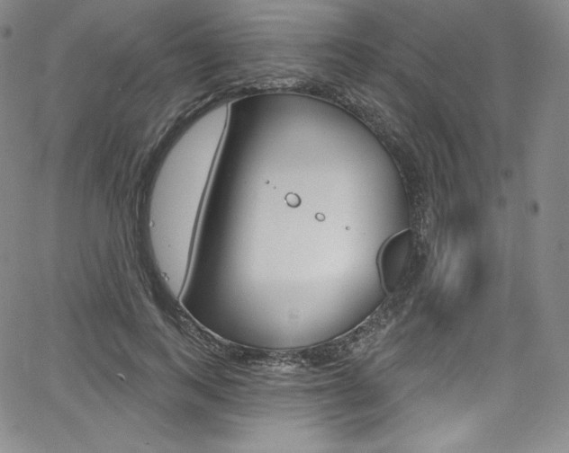 X0000068320743200604211011