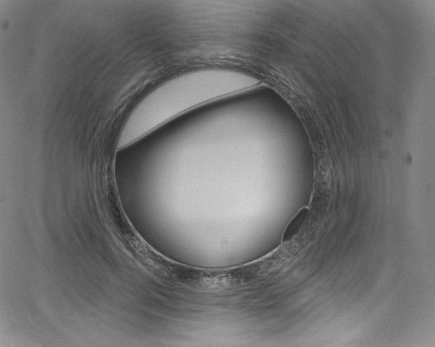 X0000068320744200604211011